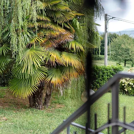 Unique View In Park Vila *